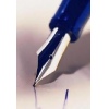 Manuscript Appraisal